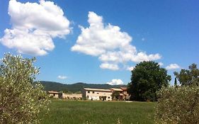 Domaine De Camp Joyeux